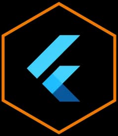 flutter app