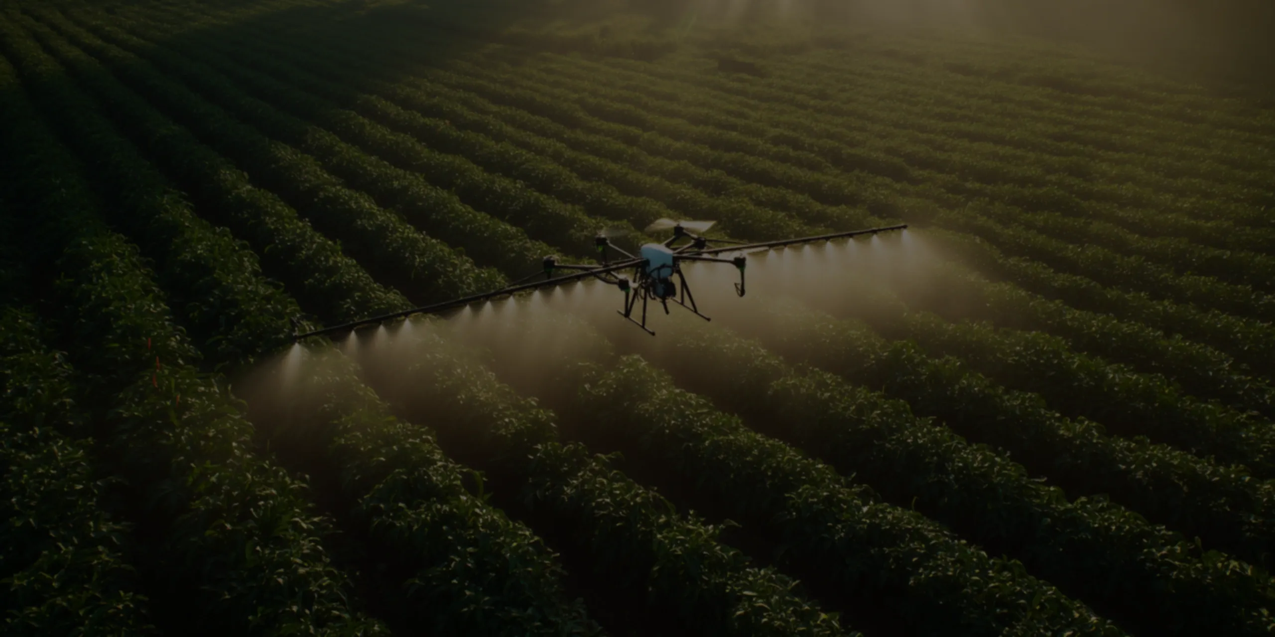 Agriculture software solutions and services Agriculture software solutions and services