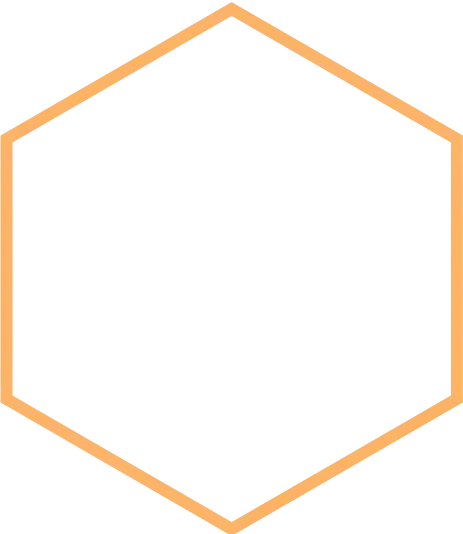 Hexagon Hexagon
